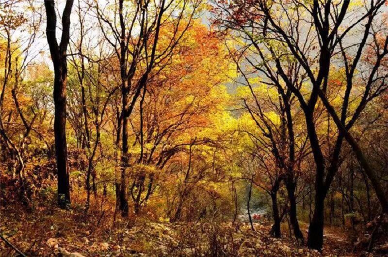 1629703615654489.jpg 遵化.jpg